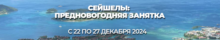 sejshely-prednovogodnyaya-2024-banner-1 (1)