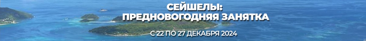 sejshely-prednovogodnyaya-2024-banner-2 (1)